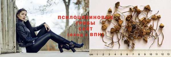 MESCALINE Вяземский