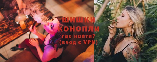 СК Волоколамск